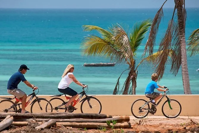 2 Days Fly in- Fly out from Zanzibar Tarangire and Crater - Tanzania safari gallery image