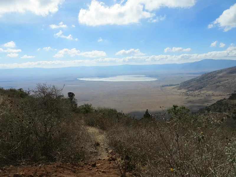 2 Days Luxury Trip to Tarangire and Ngorongoro Crater - Tanzania safari gallery image
