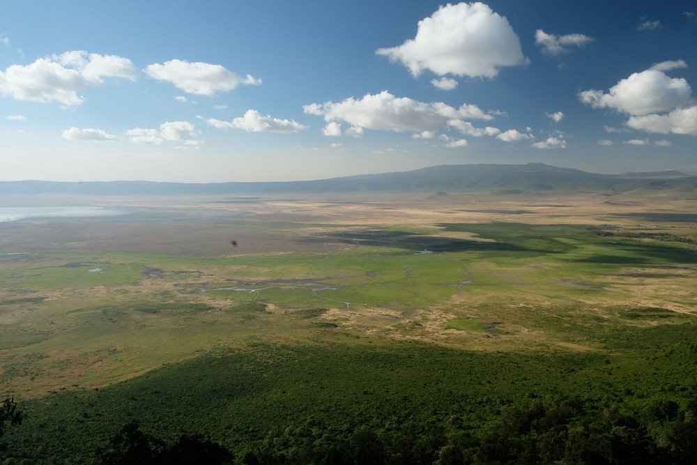 2 Days Fly in Safari Tarangire & Ngorongoro Tanzania safari gallery image