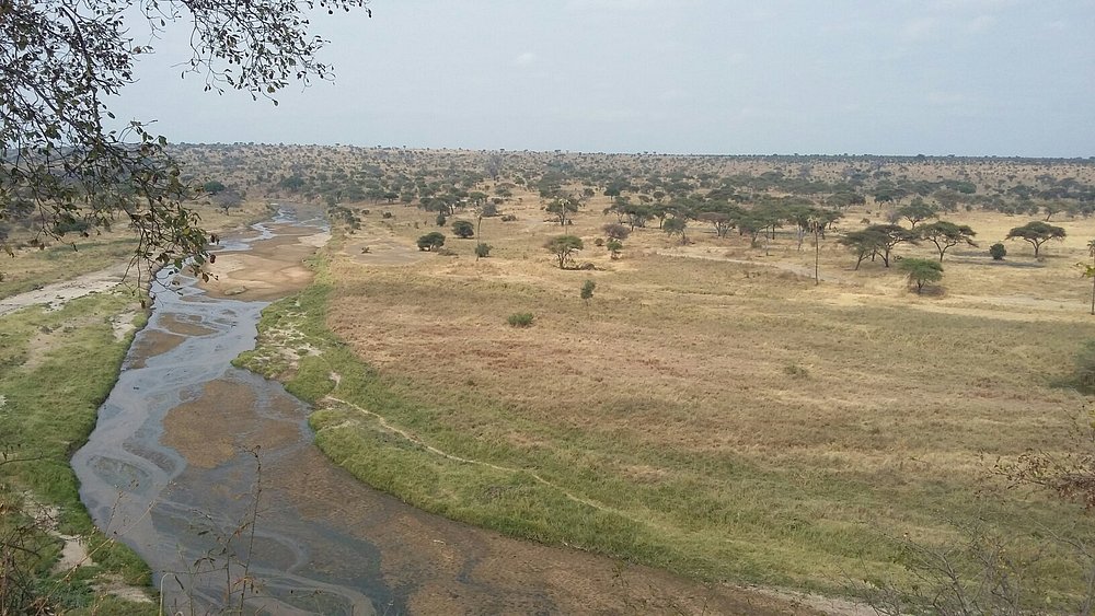 2 Days Tarangire and Ngorongoro Crater from Beach - Tanzania safari gallery image