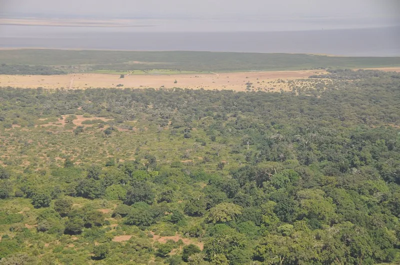 2 Days Lake Manyara & Ngorongoro Crater Safari - Tanzania safari gallery image