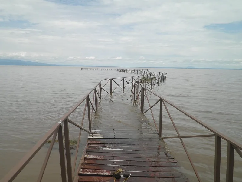 2 Days Lake Manyara & Ngorongoro Crater Safari - Tanzania safari gallery image