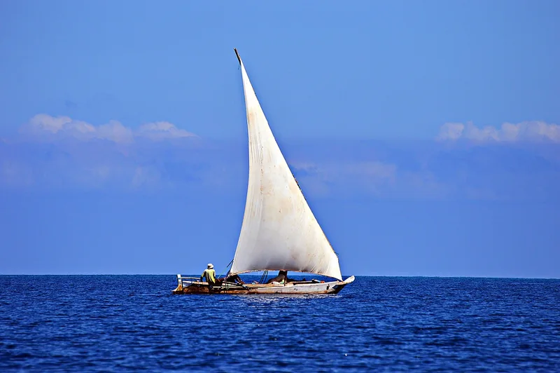 2 Days Special Offer from Zanzibar - Tarangire and Crater - Tanzania safari