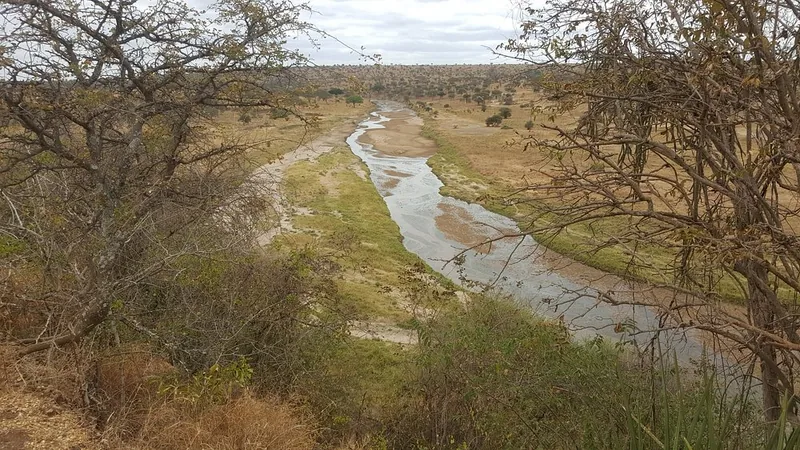 2 Days Special Offer from Zanzibar - Tarangire and Crater - Tanzania safari gallery image