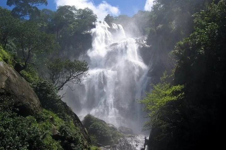 2 Days Train Safari Mikumi & Udzungwa Wildlife Adventure