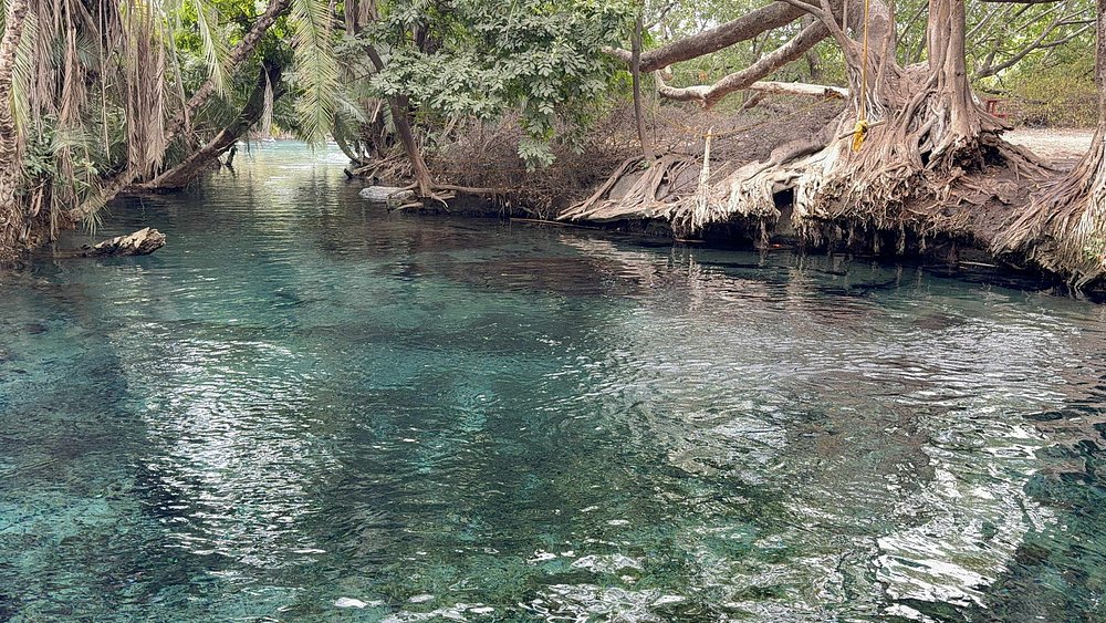 1-Day Expedition to Chemka Hot-Spring from Arusha/Moshi
