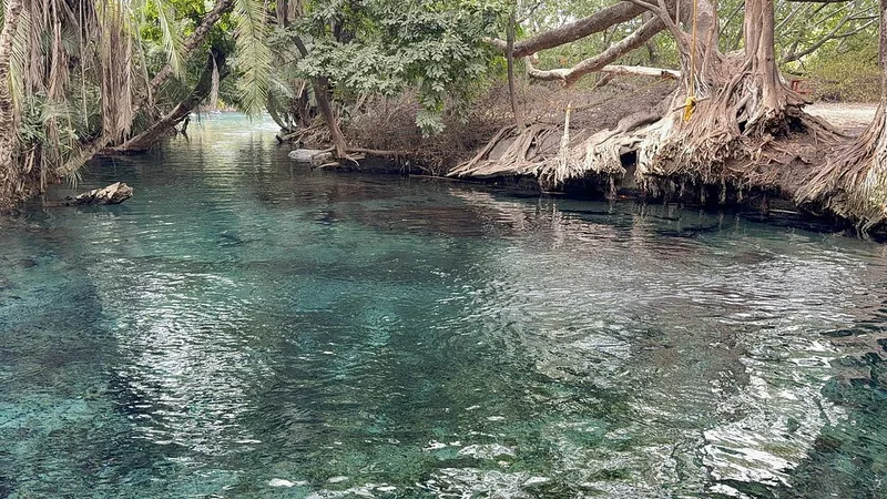 1-Day Expedition to Chemka Hot-Spring from Arusha/Moshi