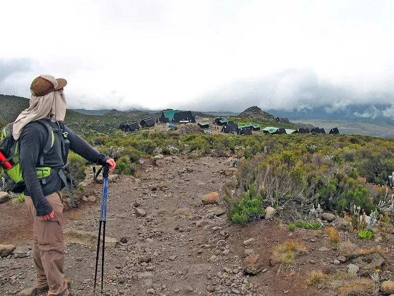 Enjoyable 1-Day Hiking Mount Kilimanjaro to the Mandara Hut - Kilimanjaro