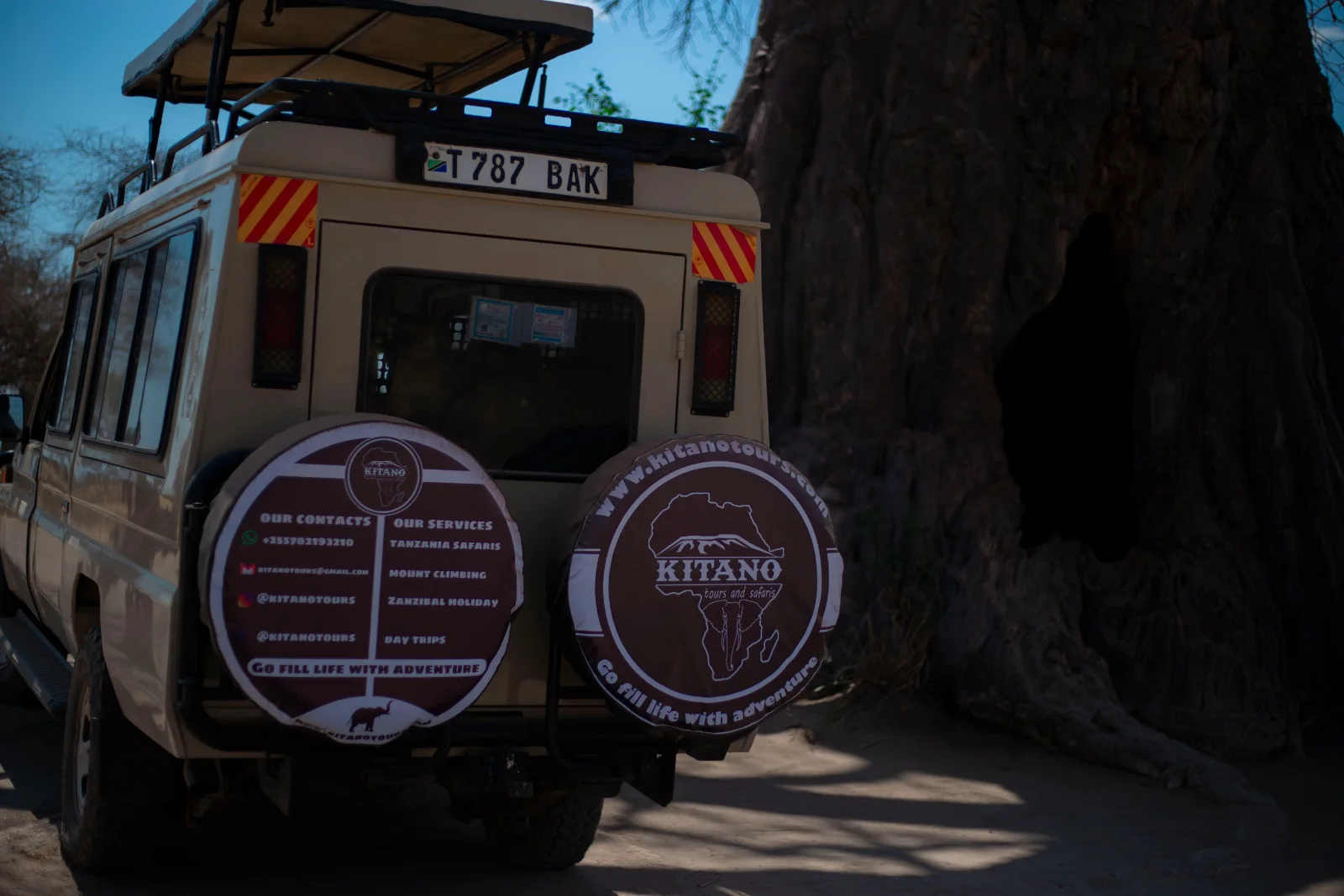 1-Day Explore Mikumi NP from Dar Es Salaam by Train - Tanzania safari