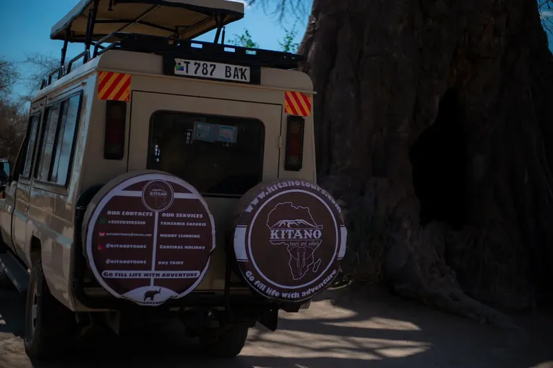 1-Day Explore Mikumi NP from Dar Es Salaam by Train - Tanzania safari