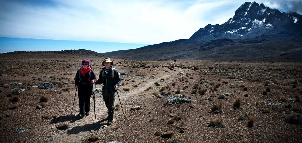 Day Trip Hike Mount Kilimanjaro - Kilimanjaro gallery image