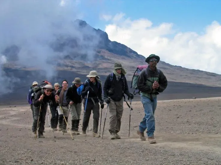 Kilimanjaro Day Hike: 1-Day Hiking Mount Kilimanjaro to the Mandara Hut - Kilimanjaro