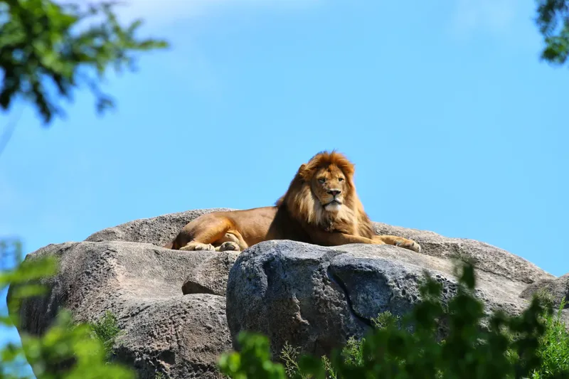 1-Day Crescent Island Boat and Walking Safari - Kenya tours gallery image