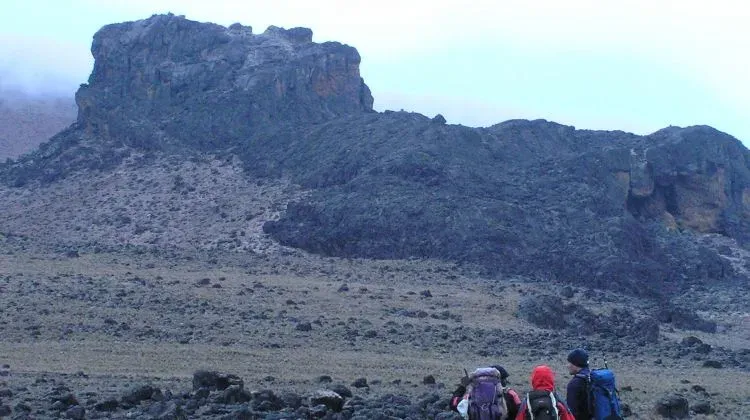 Kilimanjaro Umbwe Route: Steep & Direct 6-Day Hike for Experienced Trekkers gallery image