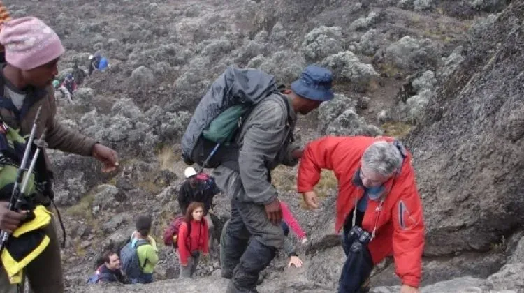 Kilimanjaro Umbwe Route: Steep & Direct 6-Day Hike for Experienced Trekkers gallery image