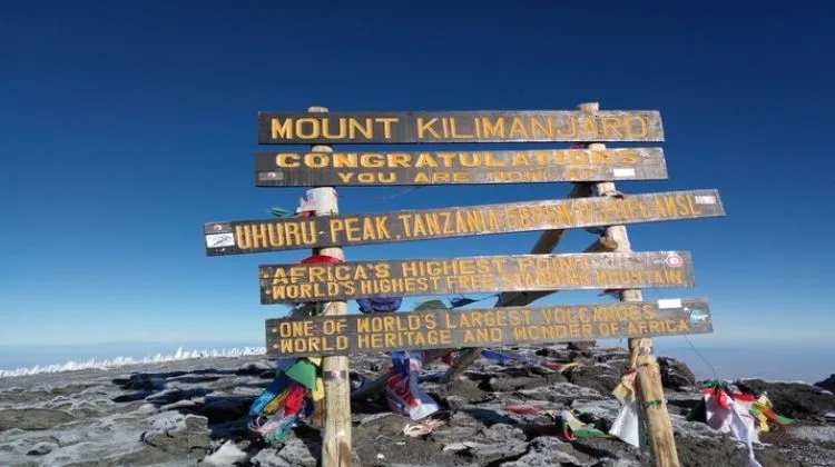 Kilimanjaro Umbwe Route: Steep & Direct 6-Day Hike for Experienced Trekkers gallery image