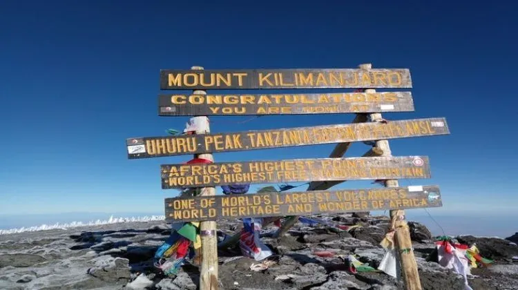 Kilimanjaro Umbwe Route: Steep & Direct 6-Day Hike for Experienced Trekkers gallery image