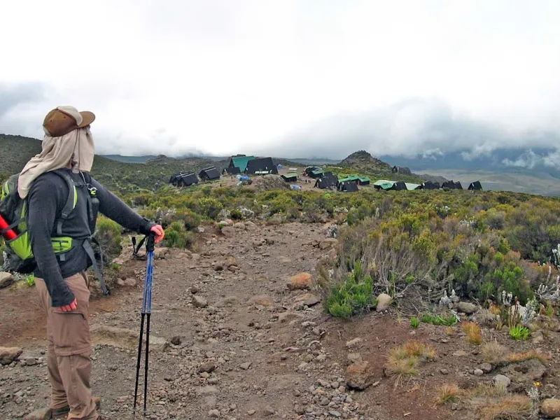 Exprole 1-Day Hike Mount Kilimanjaro from Arusha/Moshi