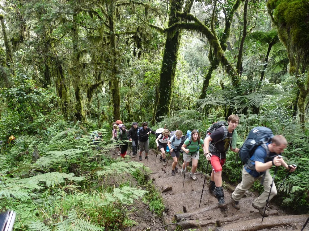 Exprole 1-Day Hike Mount Kilimanjaro from Arusha/Moshi gallery image