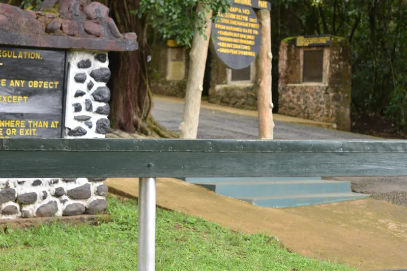 9-Day Lemosho Climbing Route Without the Crater - Kilimanjaro