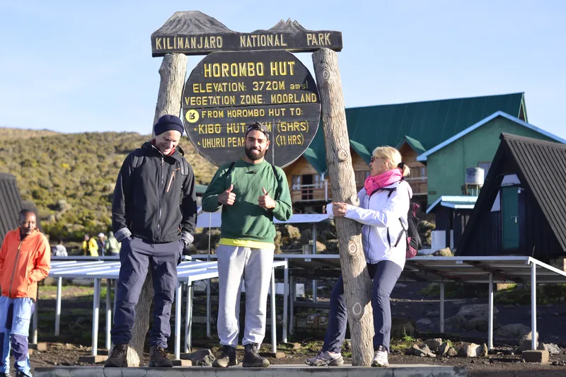 1-Day Hike Mt Kilimanjaro via Marangu Route - Kilimanjaro