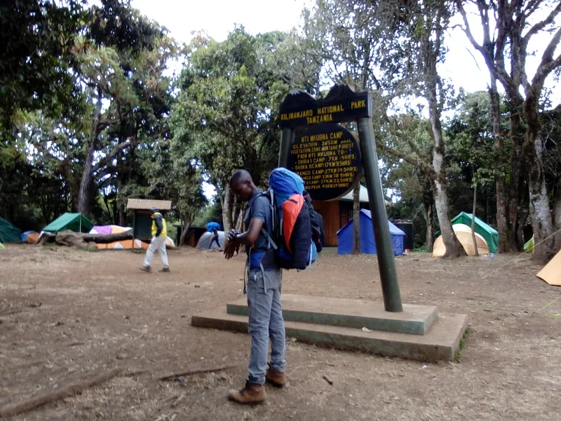 8-Day Mt Kilimanjaro Climb-Lemosho Route - Kilimanjaro gallery image