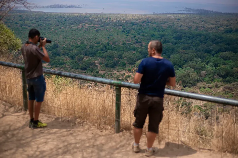Unforgettable 4-Day Visiting All Best Park Private Safari - Tanzania safari gallery image