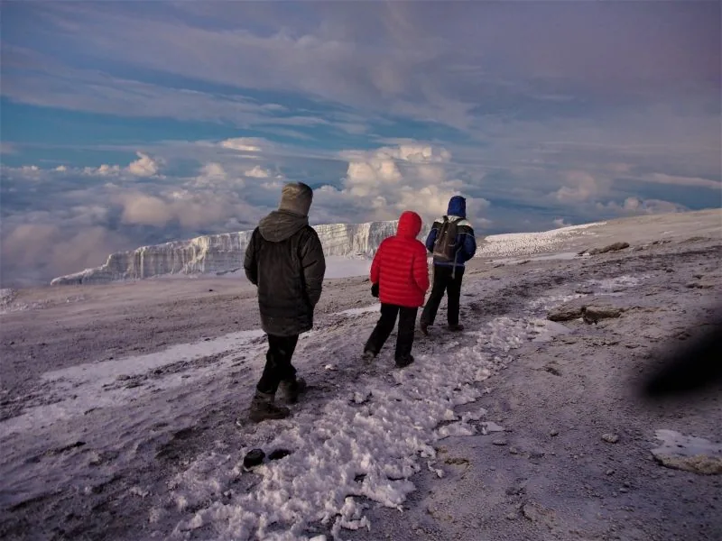 1-Day Mount Kilimanjaro Treks