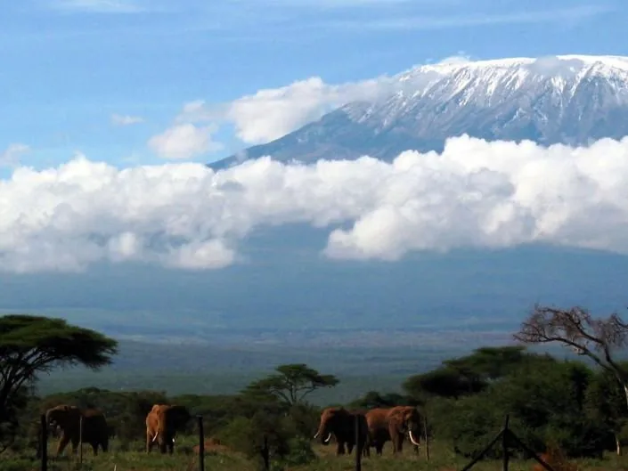 12-Day kilimanjaro tour Lemosho & Crater Route 2026 - 2027 gallery image