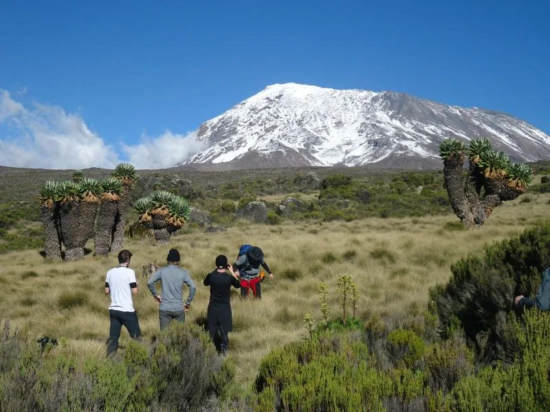 11-Day Kilimanjaro Trekking Tour Lemosho Route 2026 - 2027 -  2028