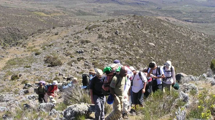 6-Day Machame Route Kilimanjaro Climbing Cost and Itinerary gallery image