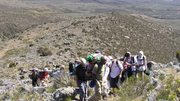 Mount Kilimanjaro: 1-Day Hiking Mount Kilimanjaro | Marangu Route - Kilimanjaro gallery image