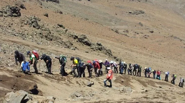 Kilimanjaro Day Hike: 1-Day Hiking Mount Kilimanjaro to the Mandara Hut - Kilimanjaro