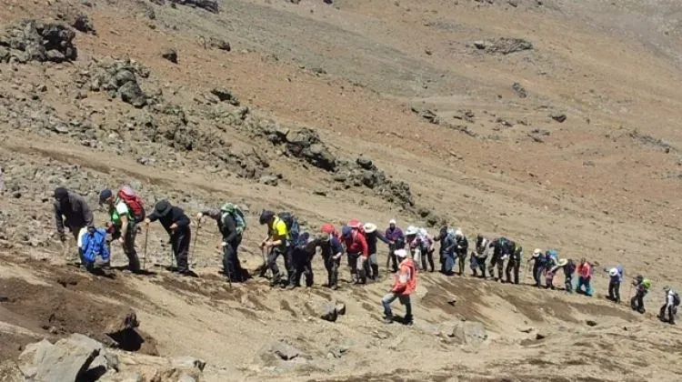 Unforgettable Experience to 1-Day Trip to Mount Kilimanjaro Hiking - Kilimanjaro gallery image