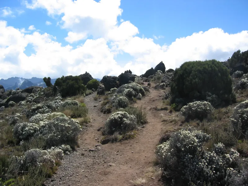 6-Day The Magical of Kilimanjaro via Marangu Route - Kilimanjaro