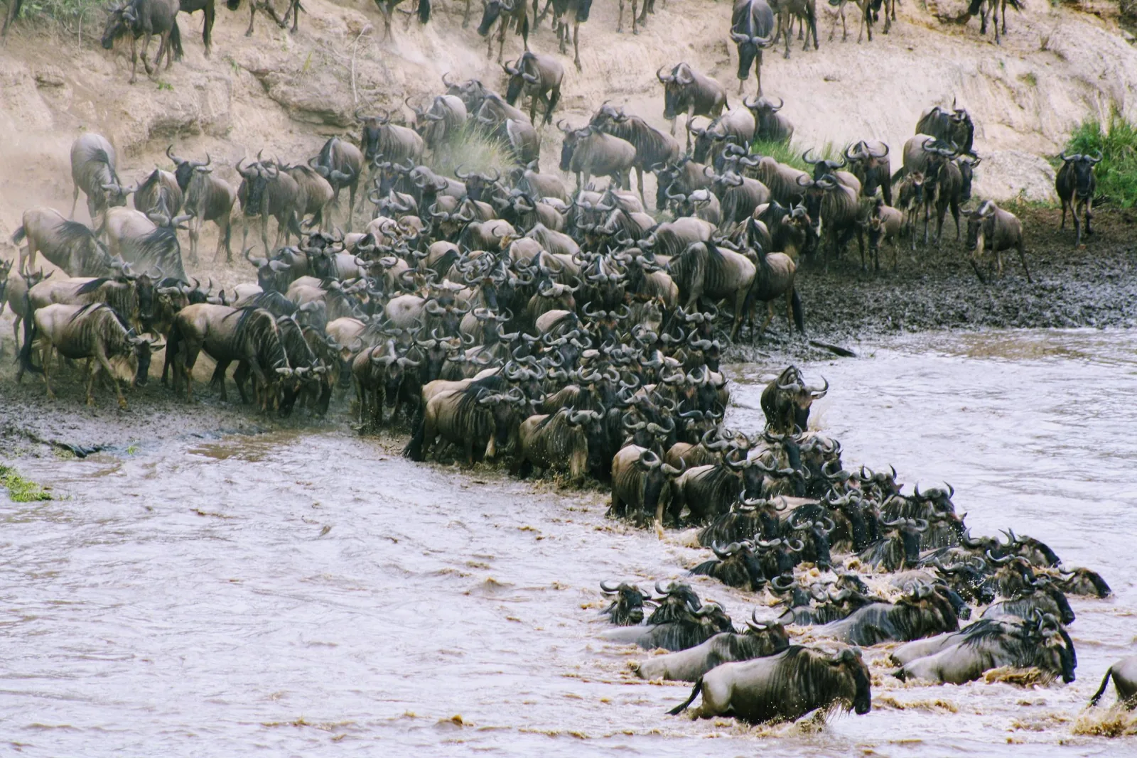 1-Day Trip to Alluring Ngorongoro Experience hero photo