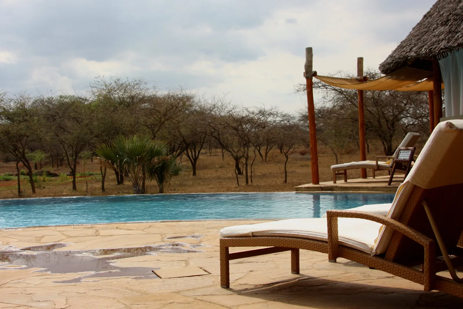 1-Day Mkomazi National Park Day Tour from Moshi - Tanzania safari hero photo