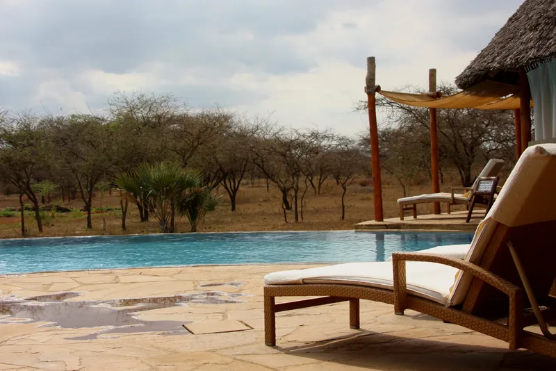 1-Day Mkomazi National Park Day Tour from Moshi - Tanzania safari