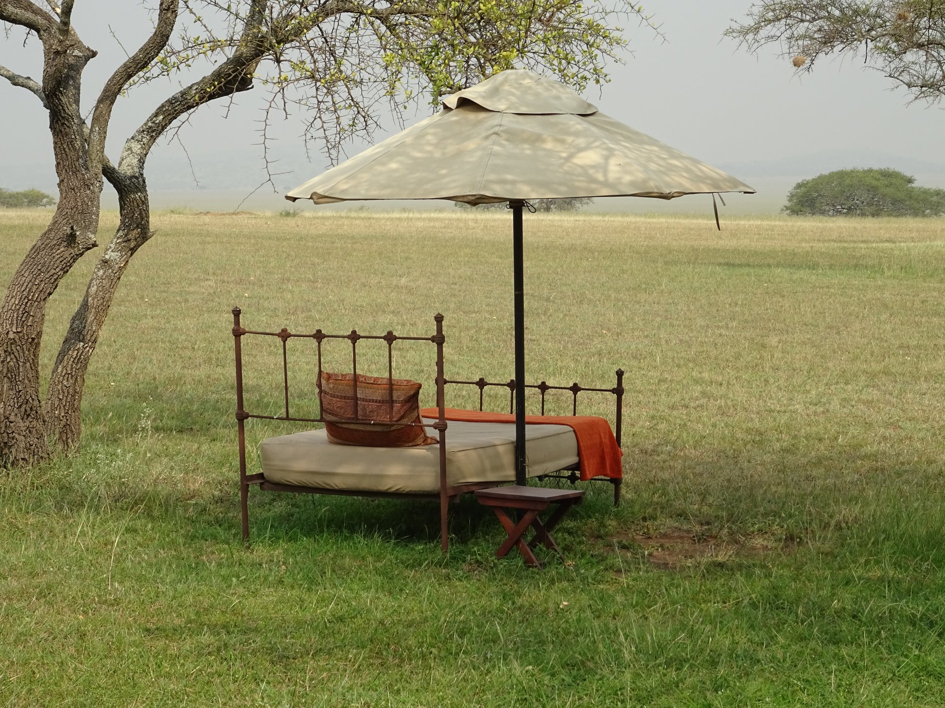 1-Day Mkomazi National Park Private Tour from Zanzibar - Tanzania safari gallery image