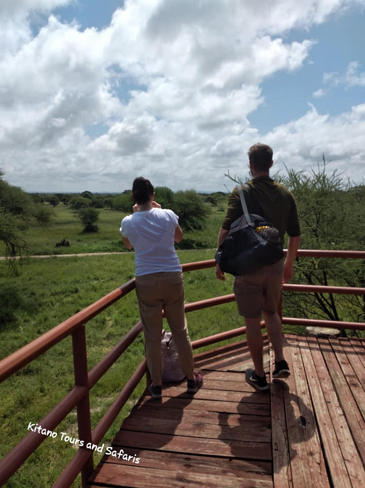 5-Day Amazing Tanzania Lodge Safari - Tanzania safari gallery image