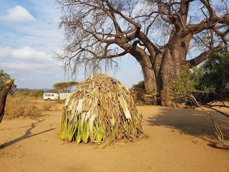 2 Days Echoes of Africa, Ngorongoro & Hadzabe gallery image
