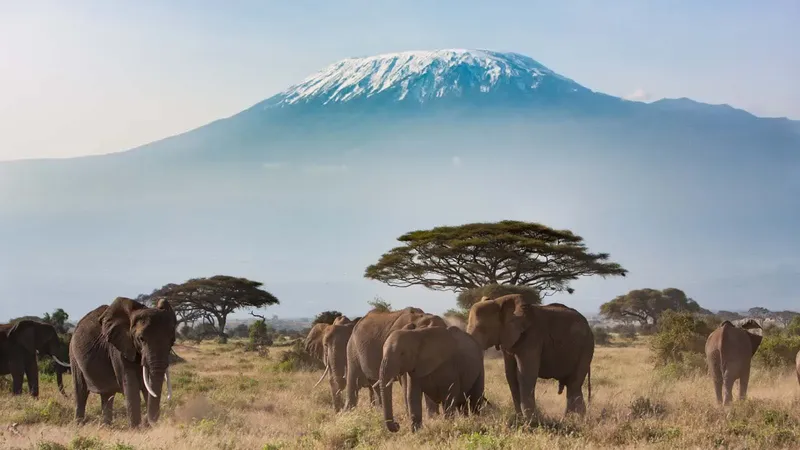 3-Day Karibu Mara Budget Group Joining Safari 4x4 Jeep - Kenya tours gallery image