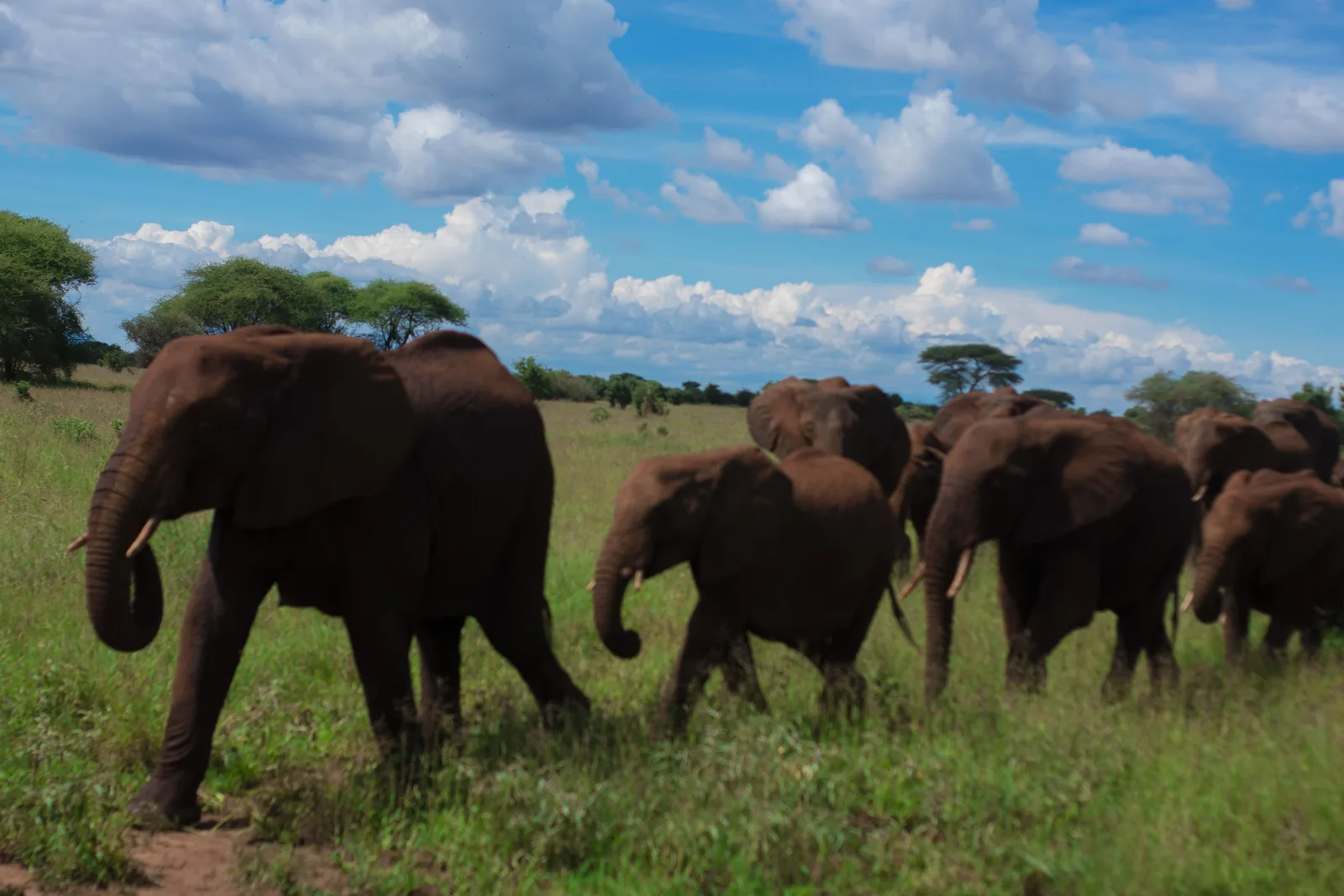 1-Day Ziwa Rhino Trekking adventure. hero photo
