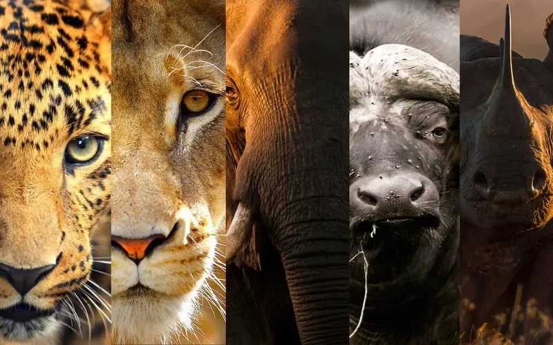 Discover Masai Mara in 3 Days Luxury Mid-Range Shared Safari Kenya 2026/2027 gallery image
