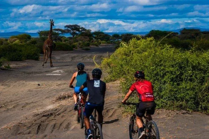 1-Day Trip at Cycling Adventure to the Hotspring
