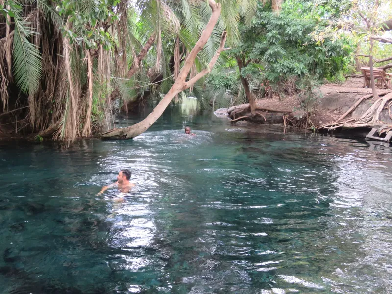 2 Days Serval Wildlife & Kikuletwa Hot Springs Tour gallery image