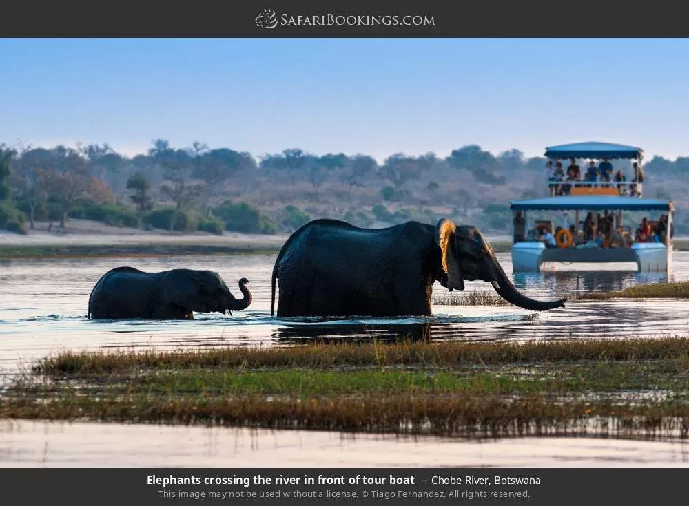 2-Day Chobe Twilight Safari+River+Overnight in a Lodge hero photo