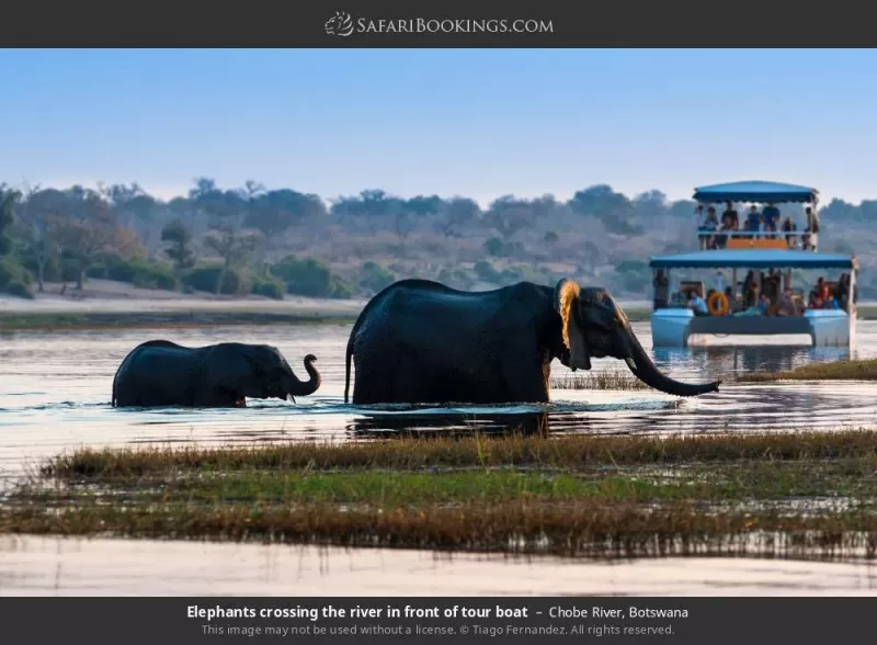 4-Day Budget Victoria Falls and Chobe Safari Tour gallery image