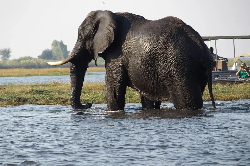 6-Day Zambia Package - Victoria Falls and Safari gallery image