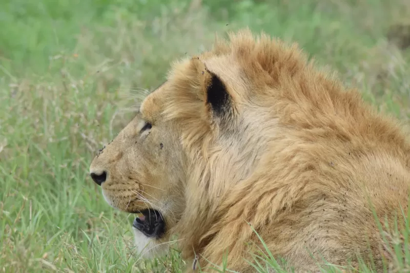 4-Day Victoria Falls & Chobe NP at Pioneers Lodge gallery image